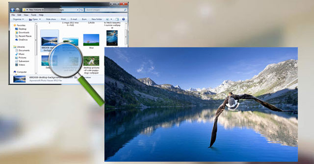 Tải phần mềm Windows Photo Viewer